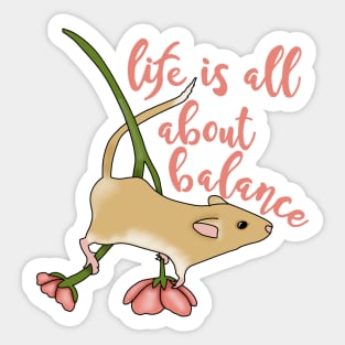 Life is all about balance (gerbil on flowers) Sticker